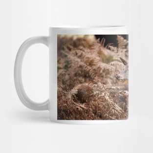 Red Deer Doe Resting in Bracken Mug